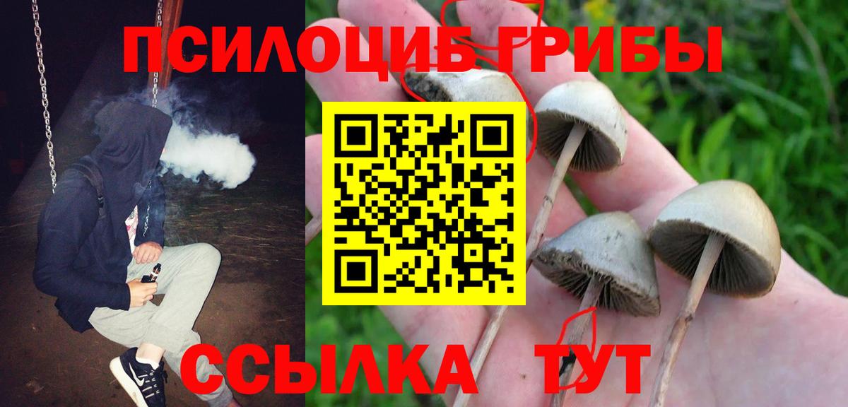 Псилоцибиновые грибы Cubensis Чапаевск